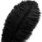 10 Pcs Natural Black Ostrich Feathers 14-16 Inch(35-40 Cm) Bulk for DIY Halloween Decorations, Wedding Party Centerpieces, Gatsby Decorations