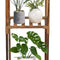 Wood Plant Stand Indoor, Tall Plant Shelf Flower Pot Stands Outdoor, Small Space Planter Stands Holder Shelves for Corner Living Room Garden (4 Pots)